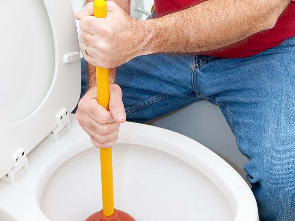 Can Flushable Wipes Damage My Plumbing Tn Plumbing Solutions