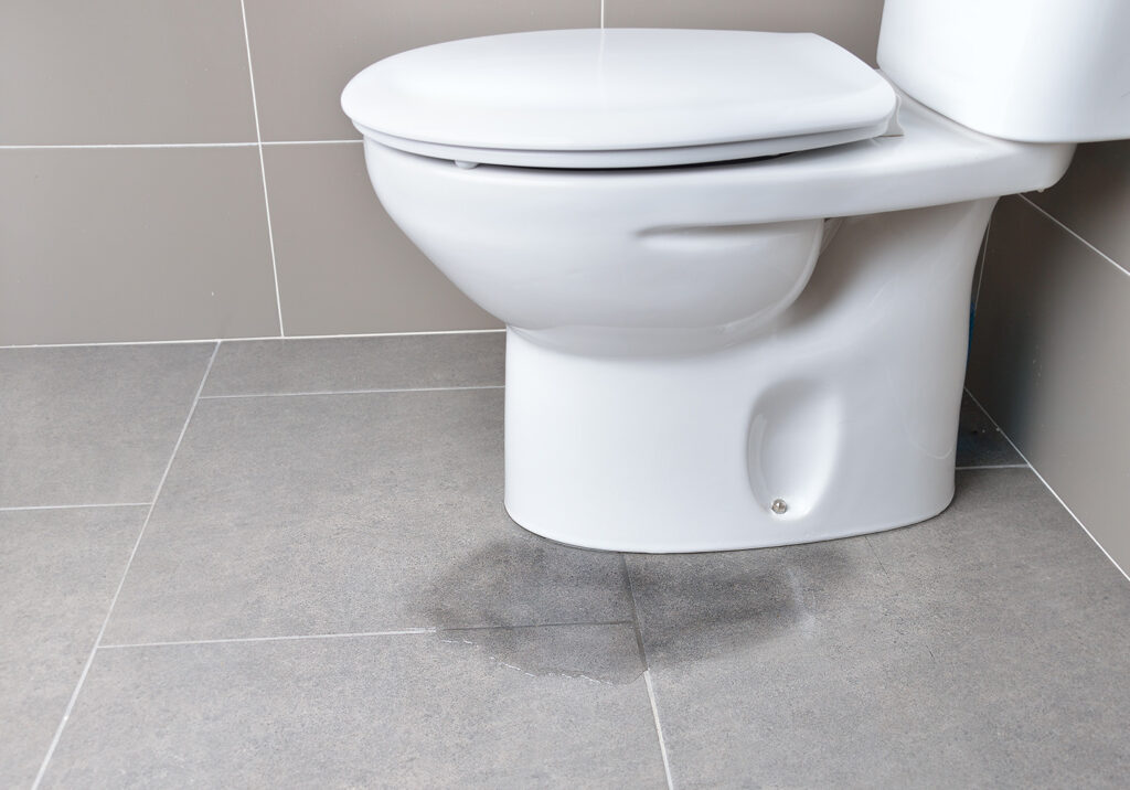 A toilet with a leak at the base