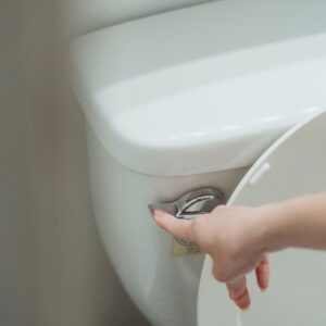 person flushing toilet