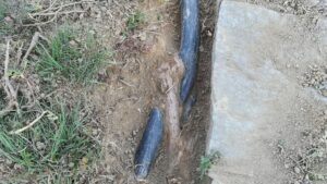 tree root growing through a pipe plumbing company in Nashville Tennessee