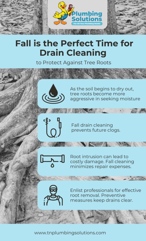 Why-Fall-is-the-Perfect-Time-for-Drain-Cleaning-to-Protect-Against-Tree-Roots