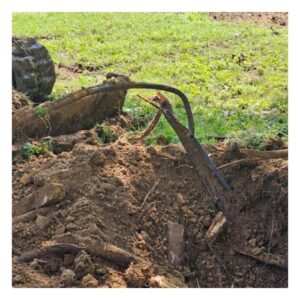 tree roots around sewer line