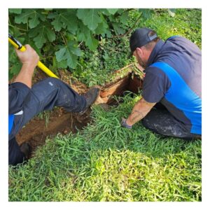 sewer line services