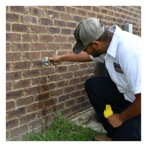local plumber checking on an outdoor hose hookup