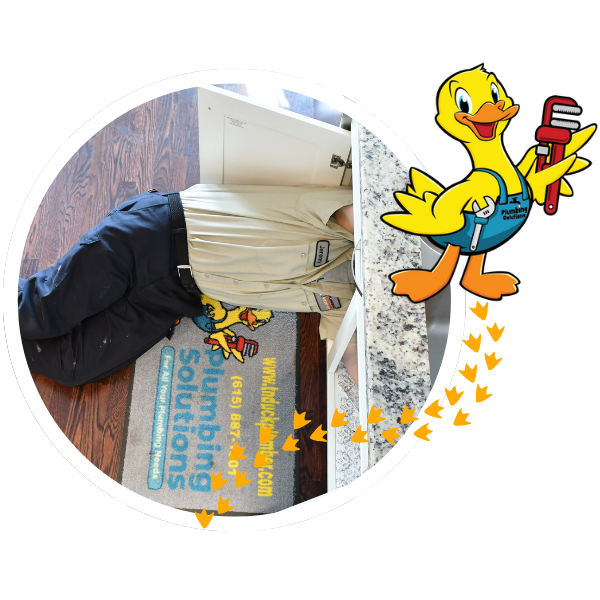 local plumbing services for a residential kitchen