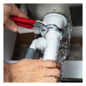 plumber fixing a leaky pipe
