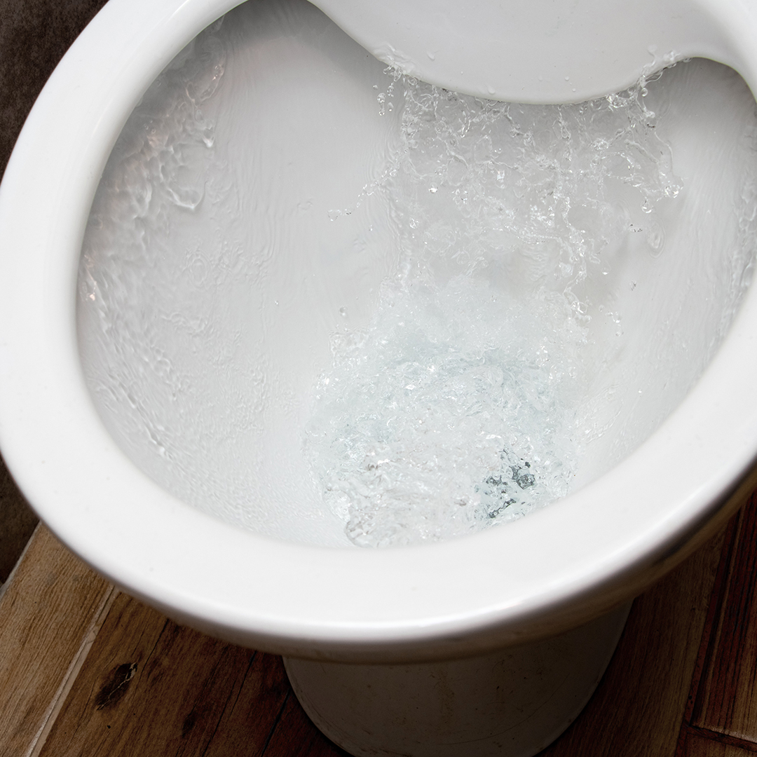 Toilet while flushing urine with water. A stream of water in the